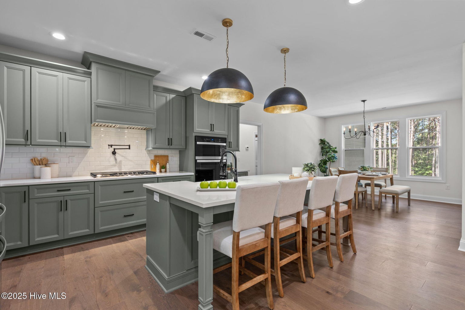 445 Oldham Road, West End, NC 27376 445 new 27