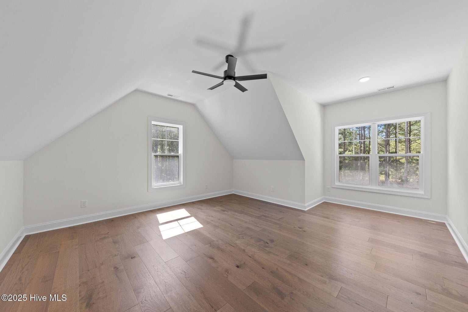 445 Oldham Road, West End, NC 27376 445 new 43