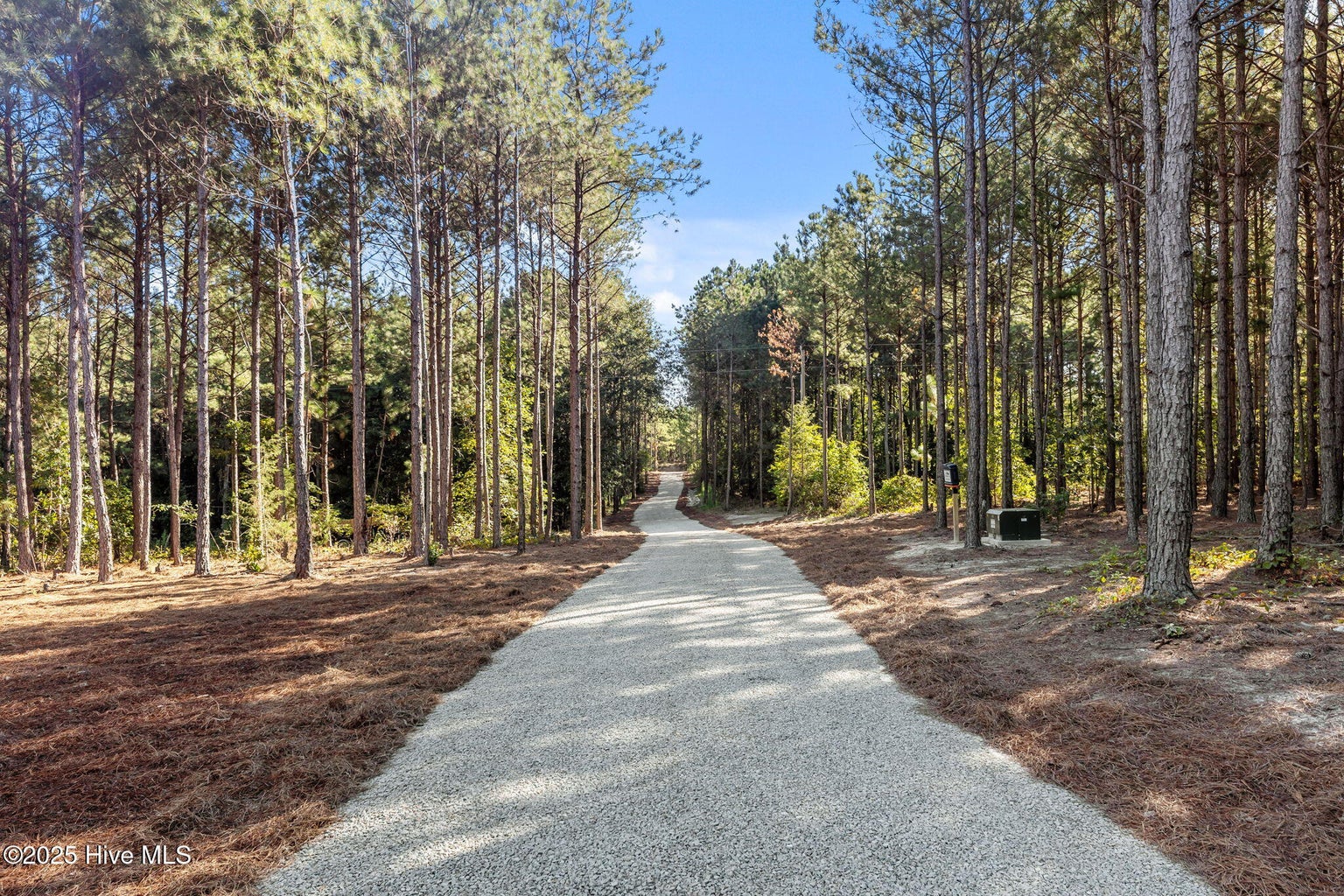 445 Oldham Road, West End, NC 27376 445 new 46